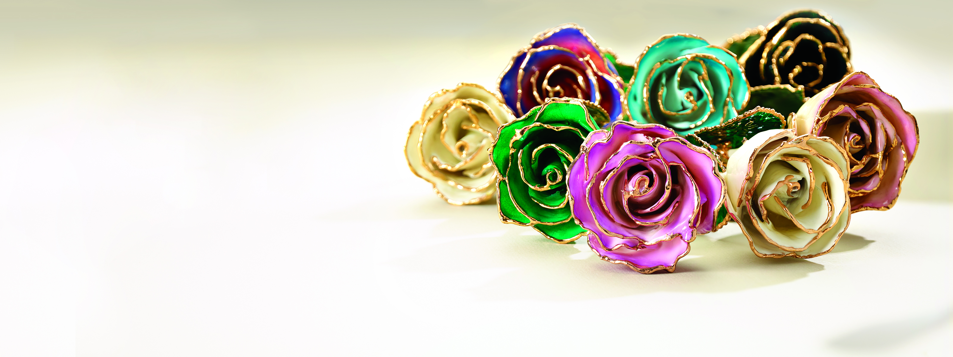 Colorful laquered roses