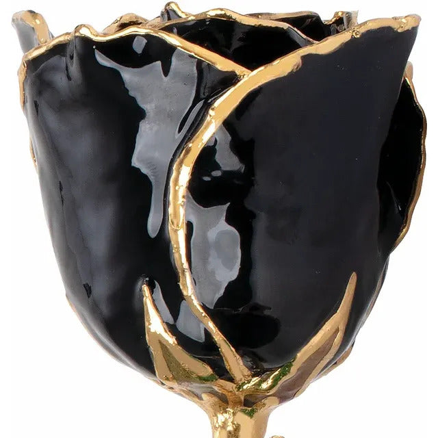 Laquered Rose - Black with Gold Trim