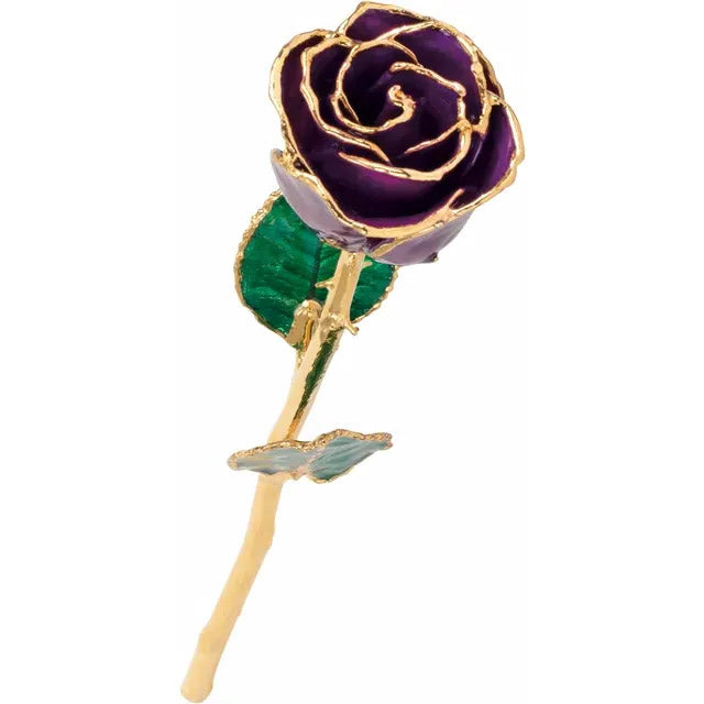 Laquered Rose - Purple with Gold Trim