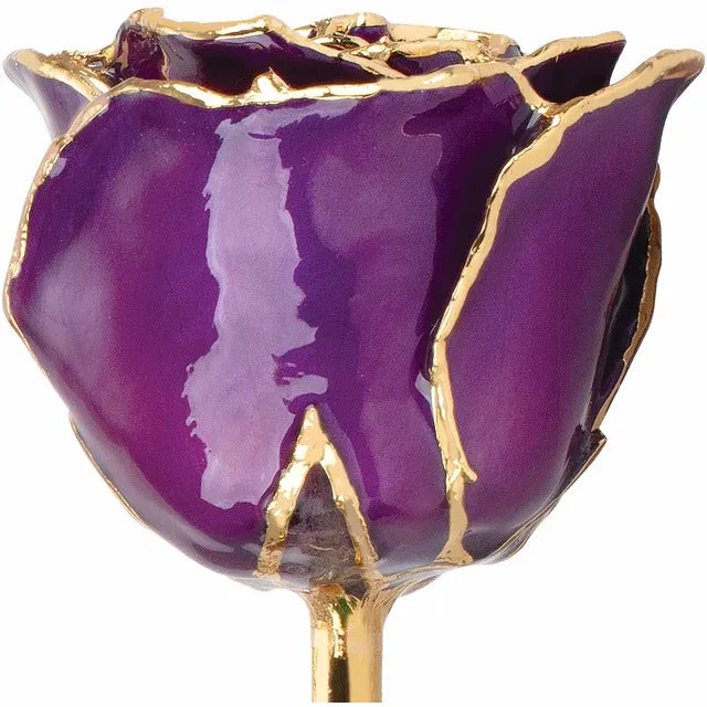 Laquered Rose - Purple with Gold Trim